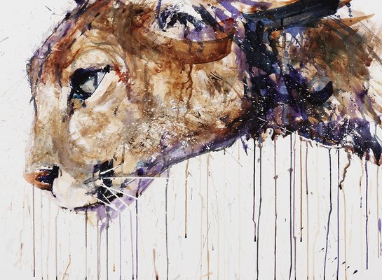 cougar-giclee-with-varnish.jpg